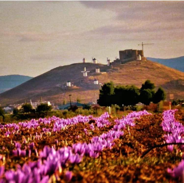Posada De Los Consules Consuegra Eksteriør billede